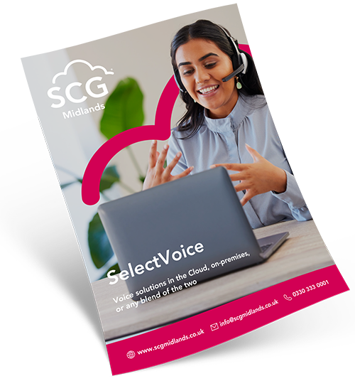 SelectVoice Services
